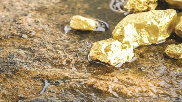 ۵۰ درصد طلای کشور در کردستان تولید می‌شود